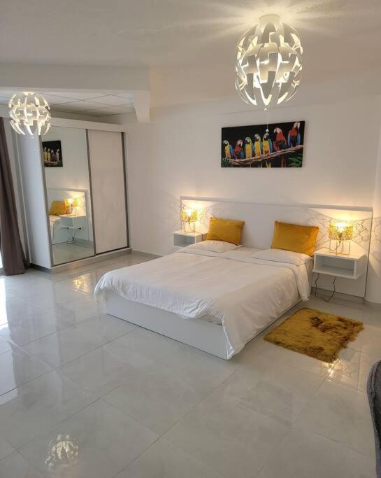 Hello Guyane Daire Cayenne Dış mekan fotoğraf