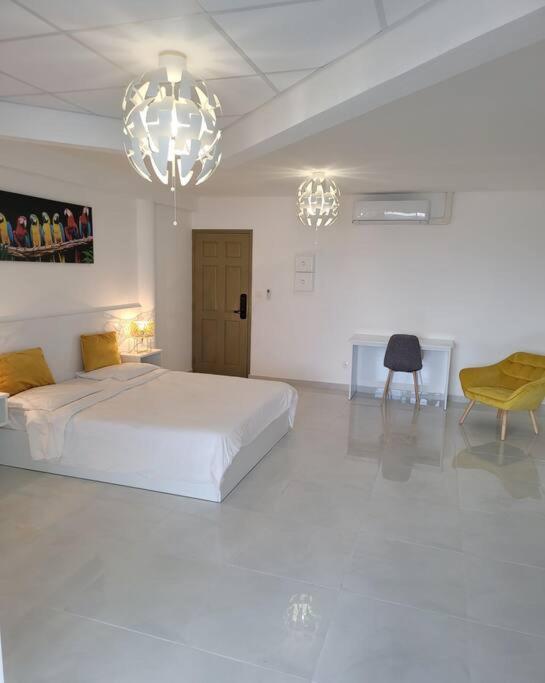 Hello Guyane Daire Cayenne Dış mekan fotoğraf